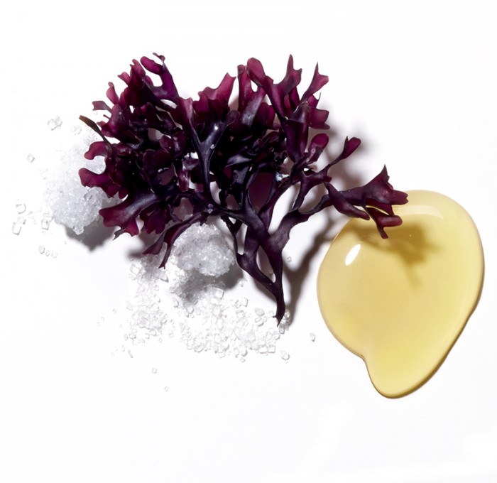 active-ingredient-62-lotion-hydra-matite-3000182